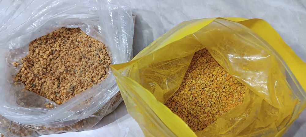 Vând polen crud -2026