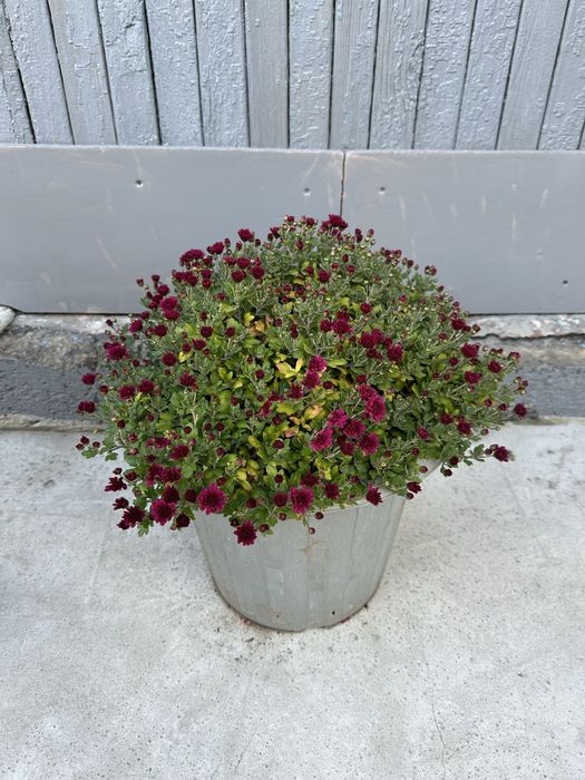 Продам частный добротный дом Казкрай