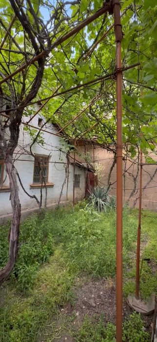 Товоқсой, Паргосда ховли уй сотилади