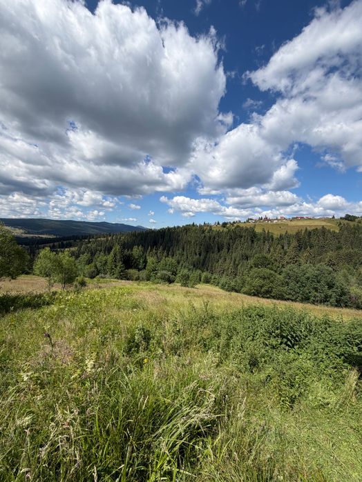 Teren de vânzare cu suprafață totală de 17.000 mp – Beliș, zona Dealu Botii, județul Cluj.