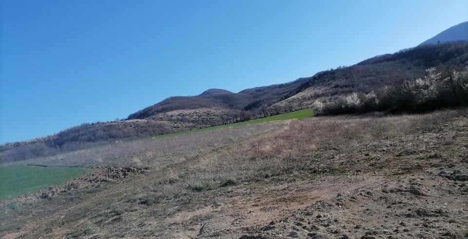 Продава се Земеделски имот в с. Новаково, Област Пловдив -  кв.м за 1800 €/дка - Снимка #2