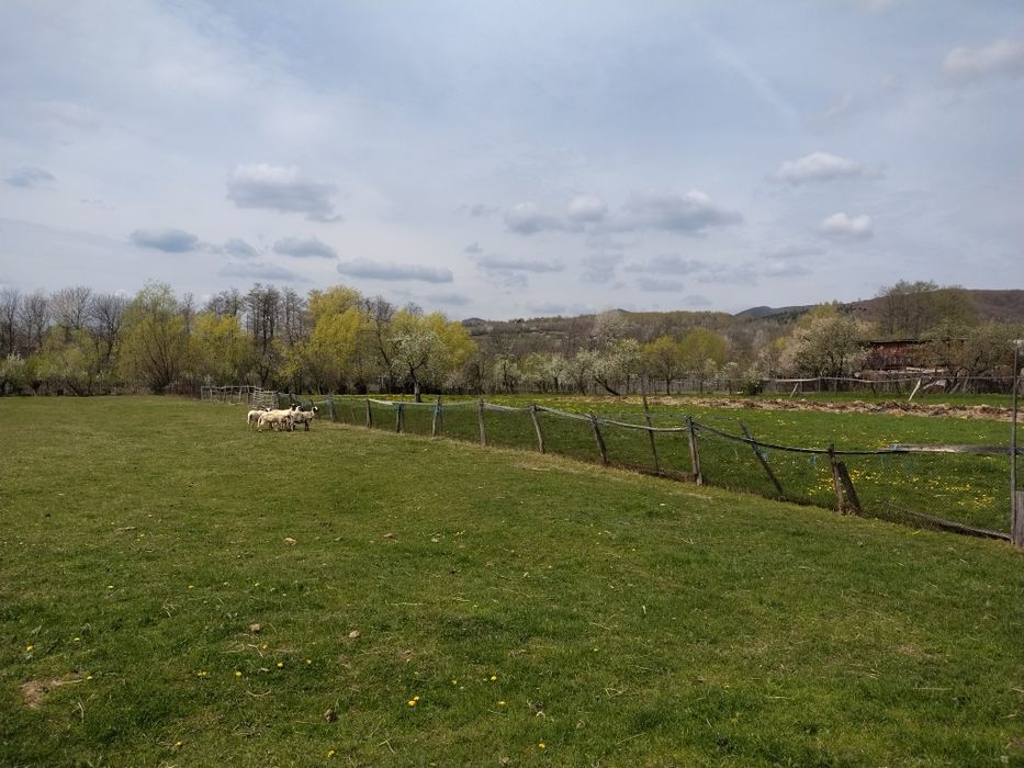 Teren intravilan 3700 mp curent, asfalt, priveliște de vis și liniște