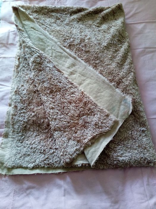 Болана от социализма