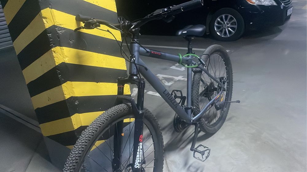 Cruzer magnum 29