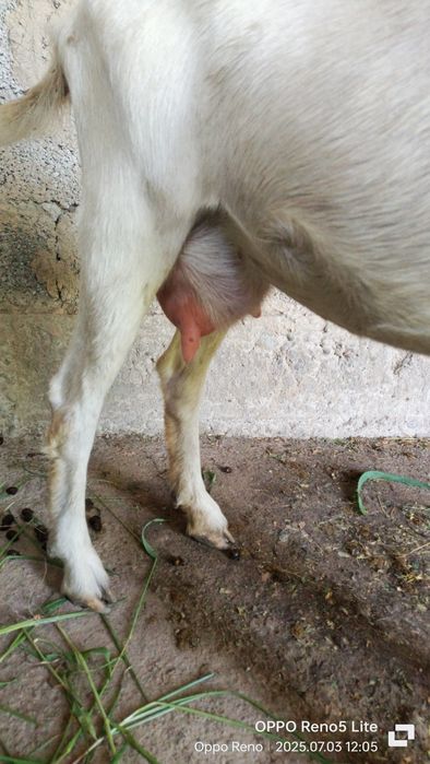 Өңдеу орнында алынды