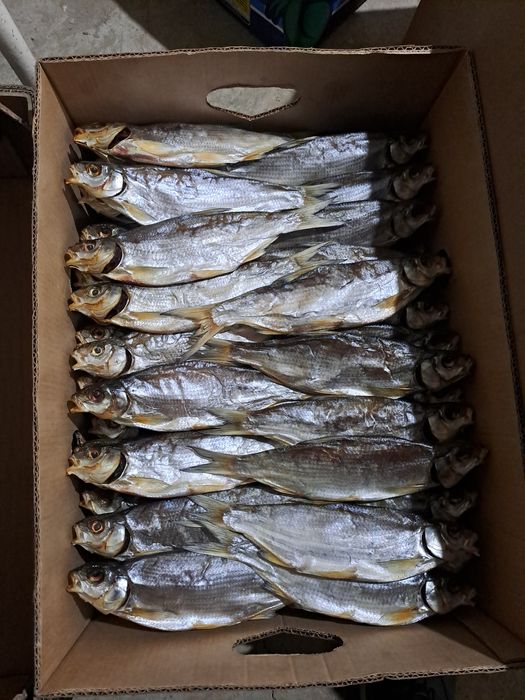 Рыбец вяленый рыба малосольный