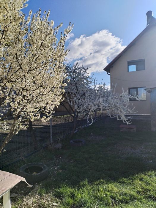 Casa cu etaj, 4 camere, teren 1600 mp, panouri 5 kw