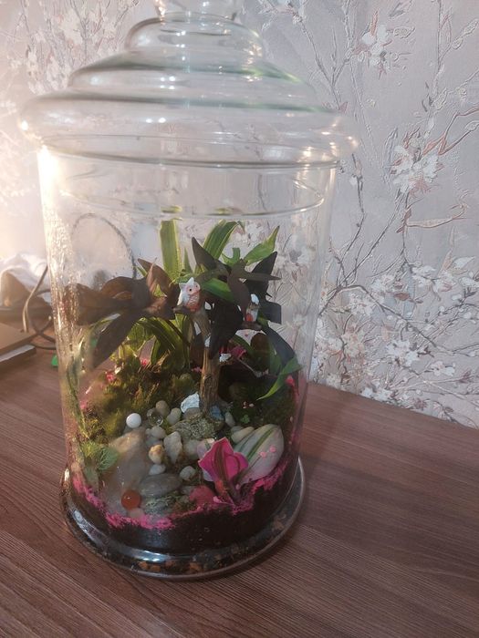Продам флорариумы. Юго Восток
