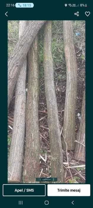 Vând pari de salcâm