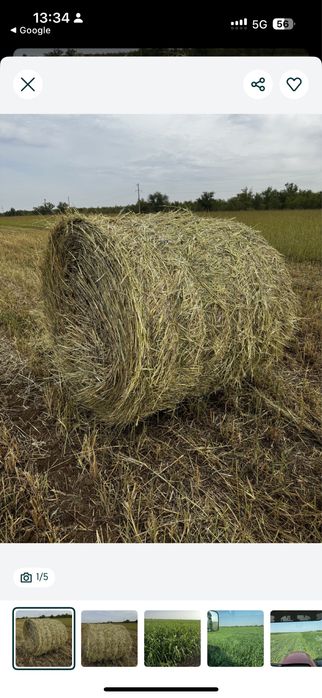 Продажа сена в Уральске