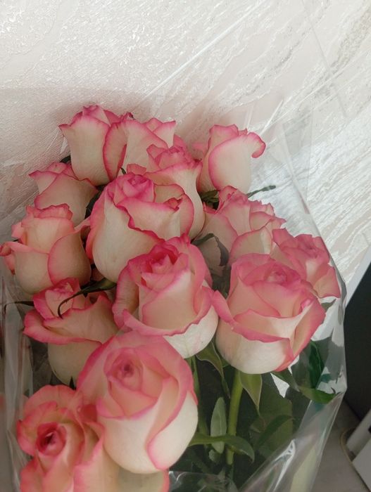 Цветы красивее в Алмате.