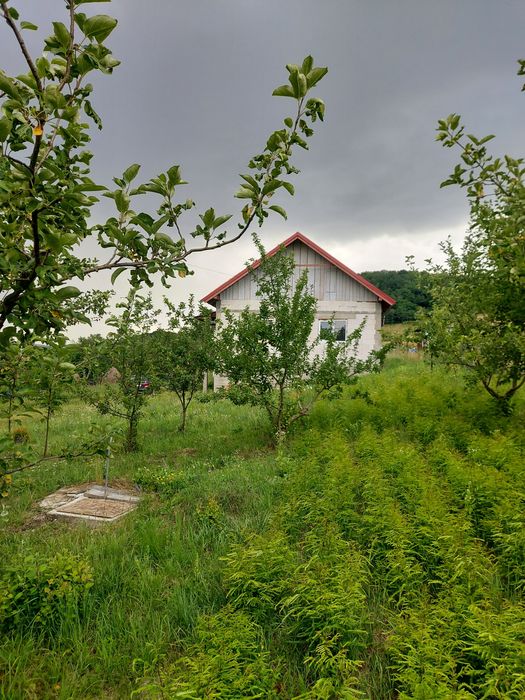 Casă – Aghiresu-Fabrici - Vedere 2