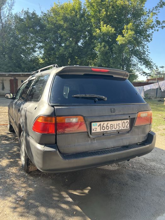 Обмен на скот сиыр жылқы