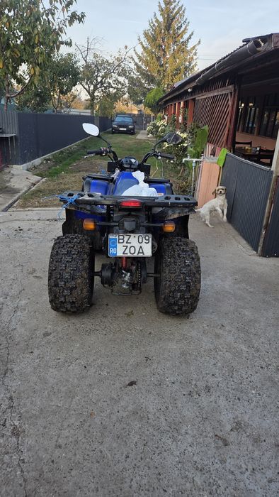 ATV COBRA Aeon 180