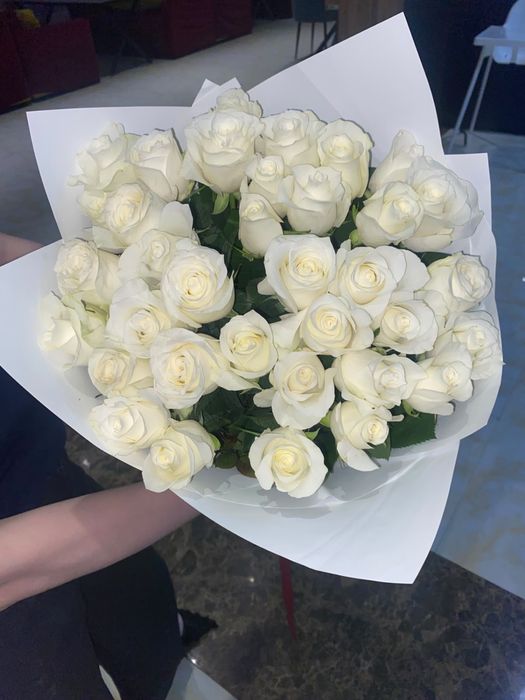 Роза белые сегодняшний