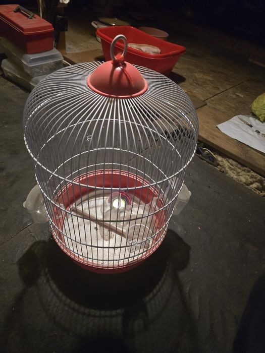 Colivie cusca papagal completa cu accesorii fara defecte