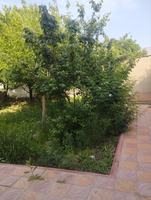 Tayyor kottej uyi – Nurota tumanida, barcha sharoitlar bilan!