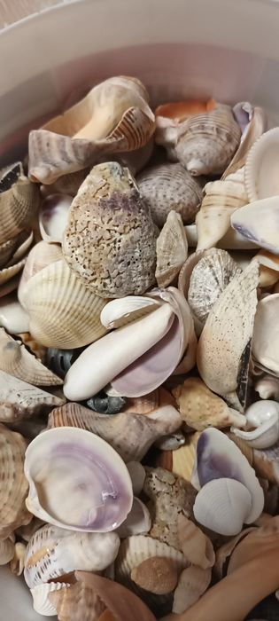 Accesorii acvariu/ terariu