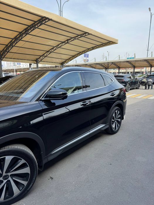 Byd chempion gibrid 2025 probegli