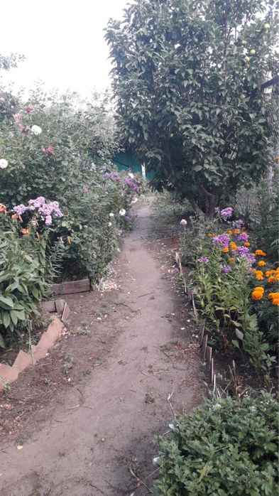 дача со мелиоратор