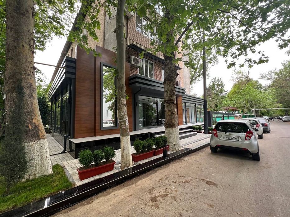 Аренда офис Ц-2 , Консерватория 78м2 + 12м2 подвал