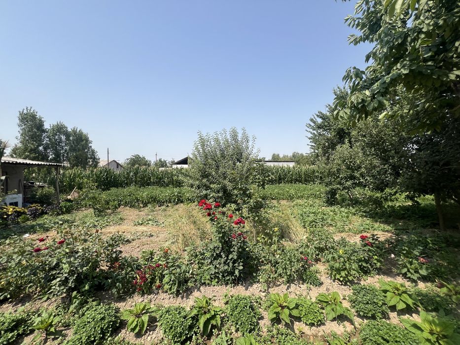 dala hovli uy sotiladi