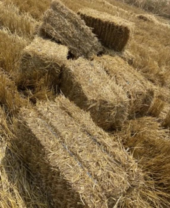 Vând baloti din coceni