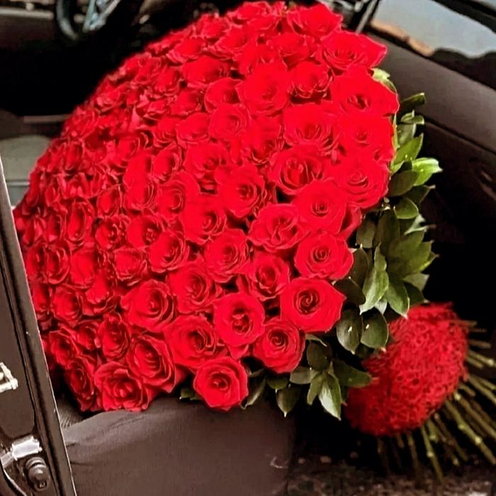 101роза, 51роза, розы, букет роз