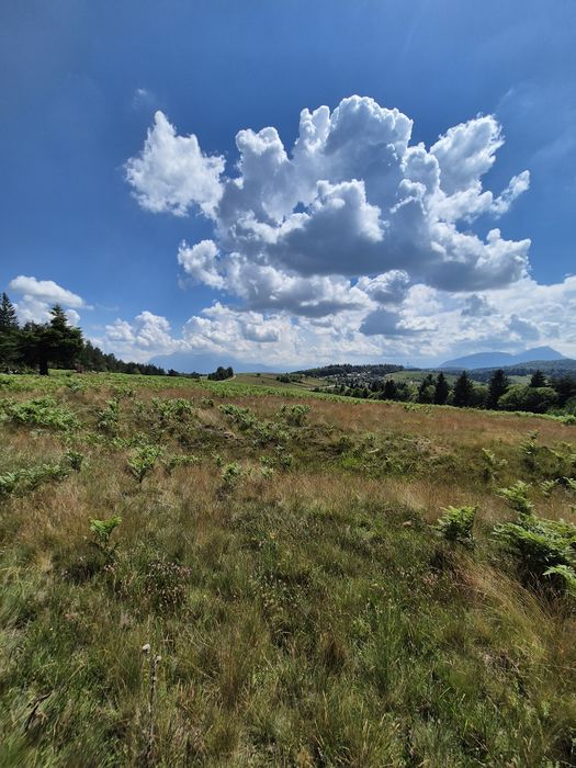 Teren Superb de Vânzare în Holbav, Jud. Brașov - 3546 mp, PUZ în Lucru