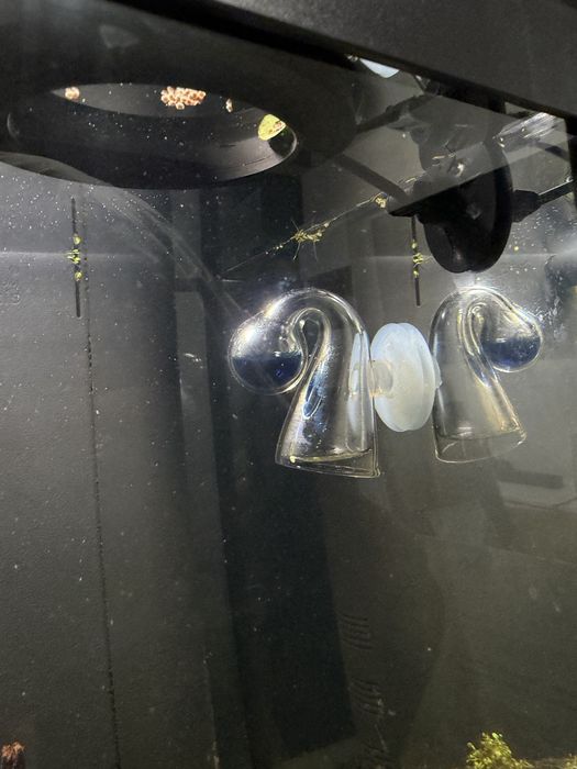 Vand Sistem complet co2 acvariu