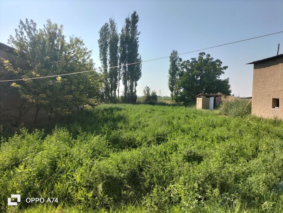 Yer sotiladi 4 sotix