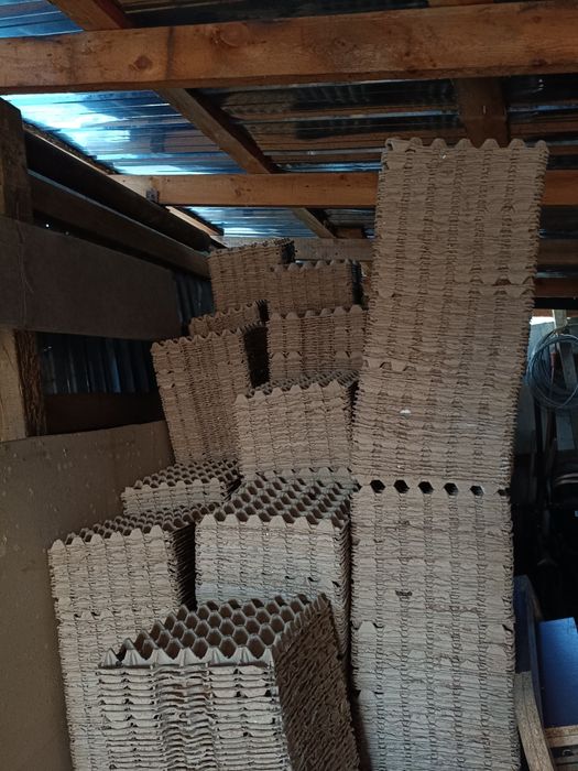 Лотки для Яиц в количестве 2000 шт