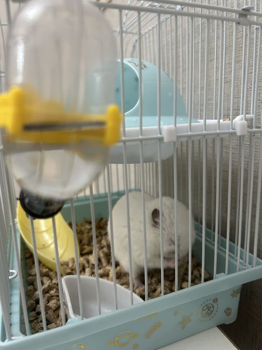 Продам клетку для хомяка
