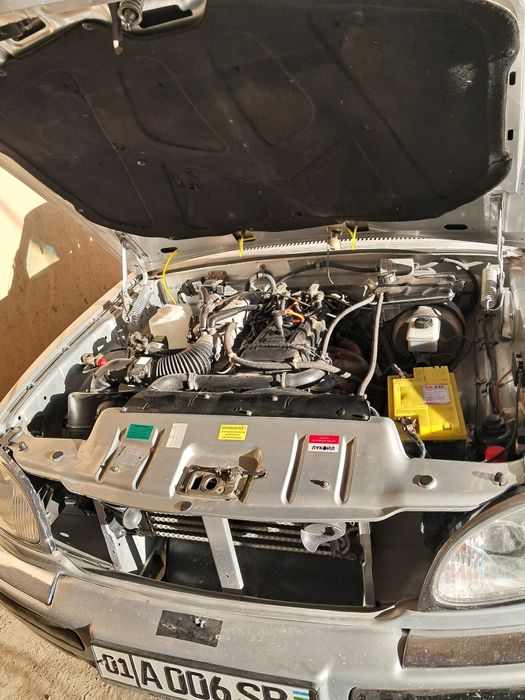 Volga  gaz 31105 radnoy