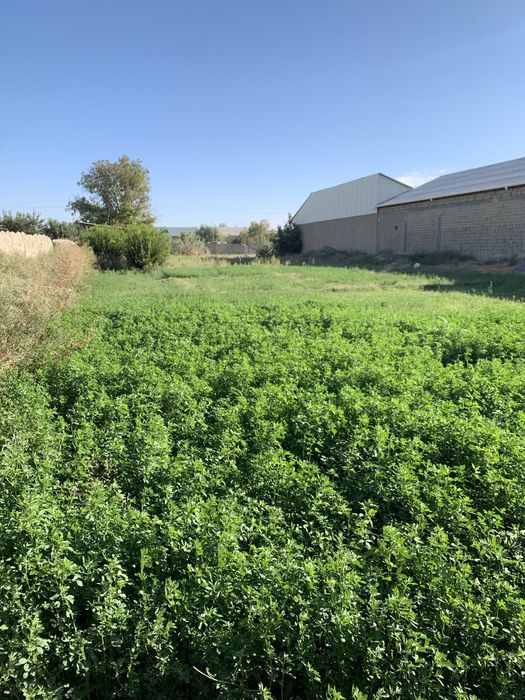 Срочно уй сотилади сув ва газ бор, сотихини булиб бериш имкони мавжуд