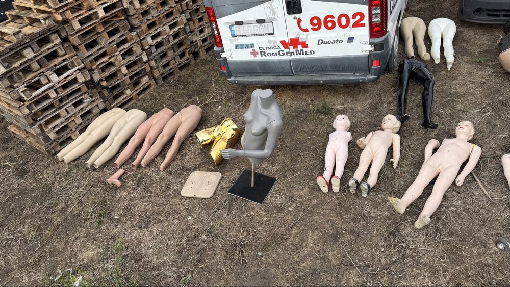 Busturi Barbat, busturi Dama, manechin, Manechini, manechine, bust