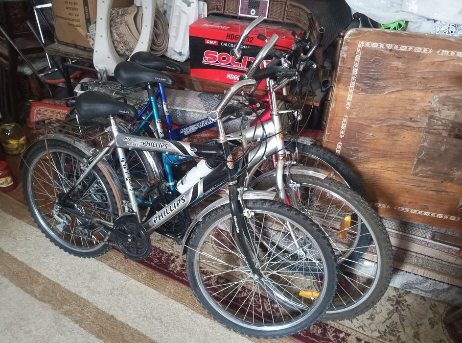 Phillips velosiped sotiladi