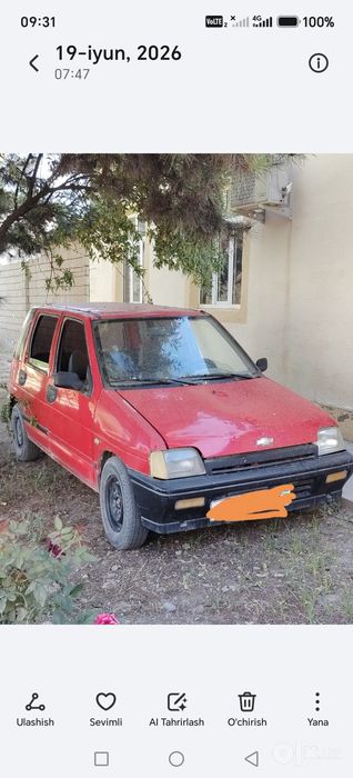Tiko gazi bor. Xammajoyi zo'r