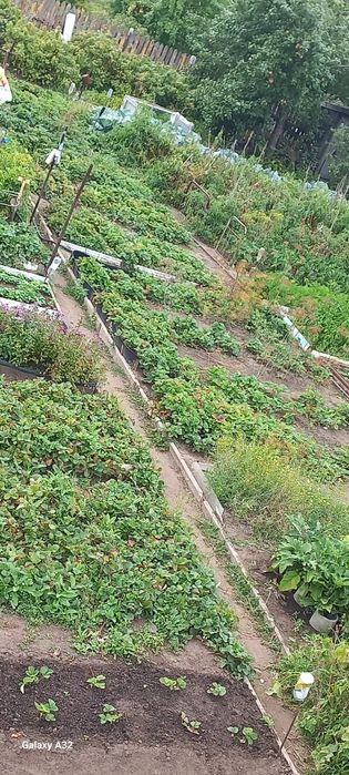 Продам  ухоженную дачу