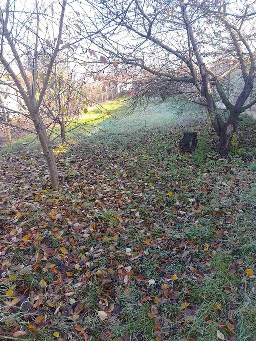 Продава се Парцел в Разград, Промишлена зона - Запад - 600 кв.м за 43 €/кв.м - Снимка #3