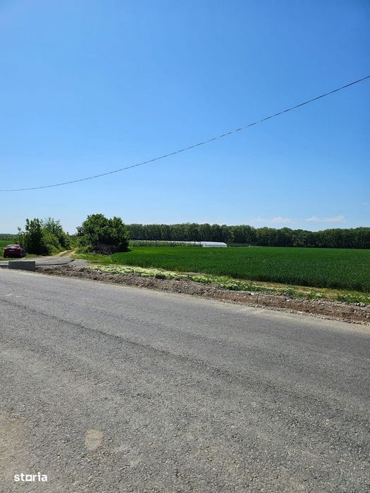 Balteni-Scrovistea, teren intravilan 17.714 mp, lângă pădure