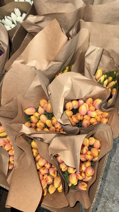 тюльпаны от 300 и 400