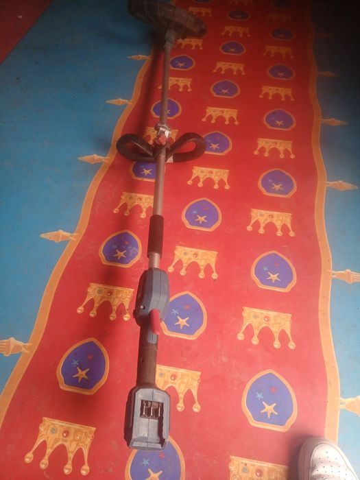 Vanad costisitoare pe baterie