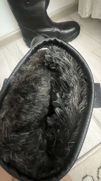 Сапоги  кожанный за 25000