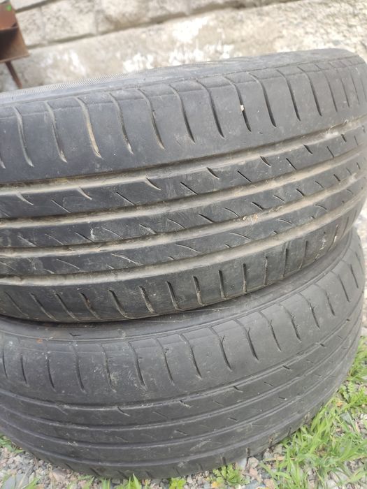 205/55/16 летний