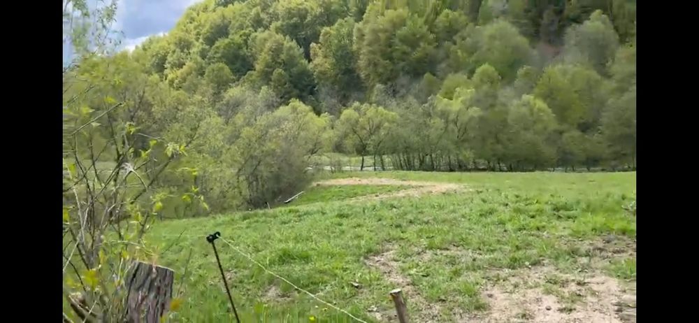 Teren la Transapuseana si unul in Mogoș Poieni