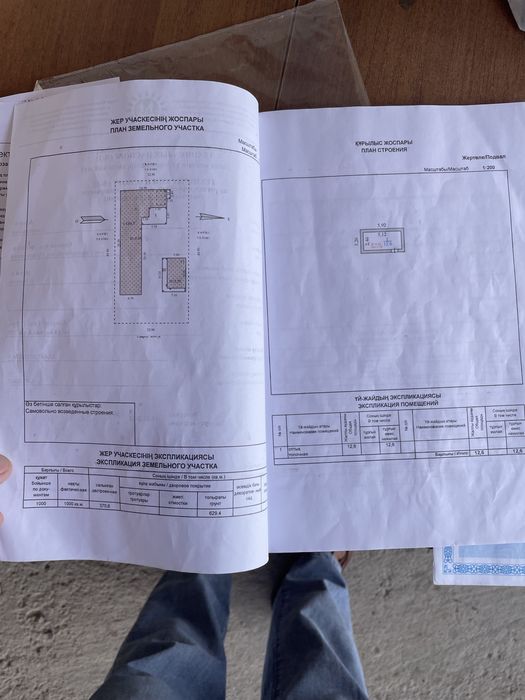 Дом с бизнесом