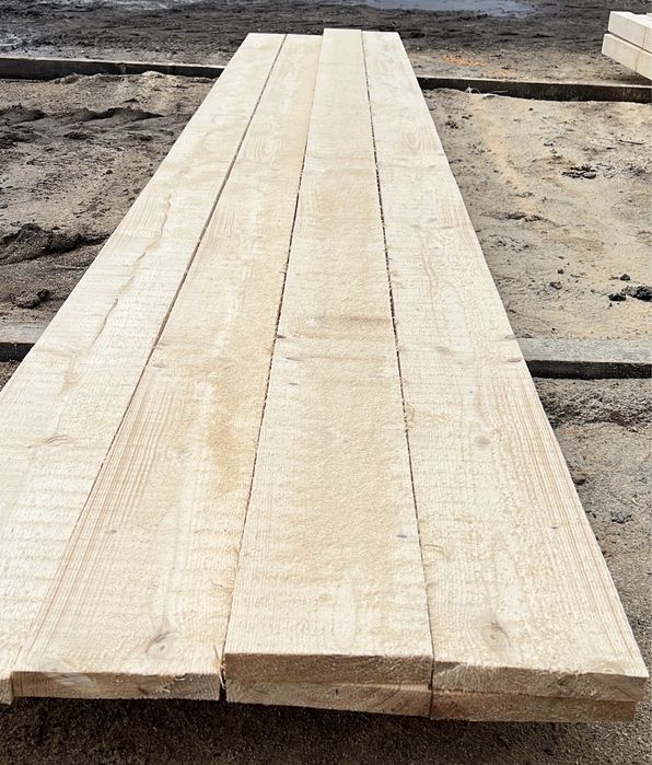 Cherestea Molid si Brad