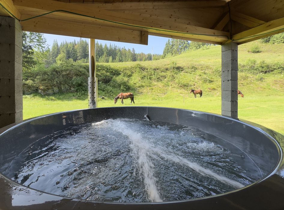 Cabana Arieseni cu Ciubar Cazare Apuseni Vartop