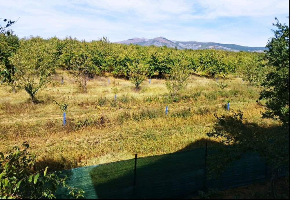 Продава се Къща в с. Лиляч, Област Кюстендил - 40 кв.м за 1275 €/кв.м - Снимка #7